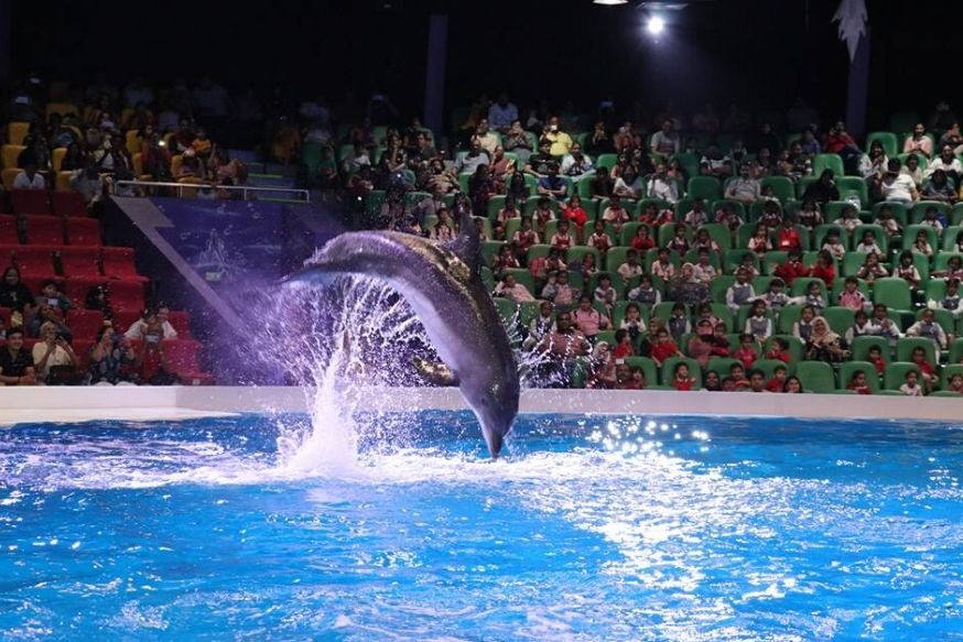 Dubai Dolphinarium